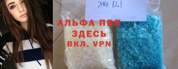 дмт Богданович