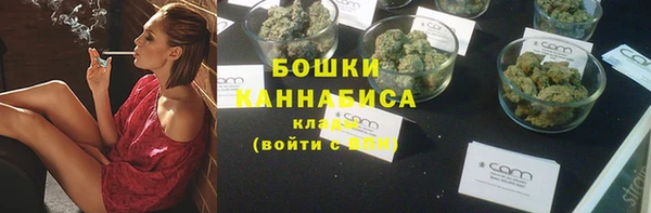 бошки Бронницы