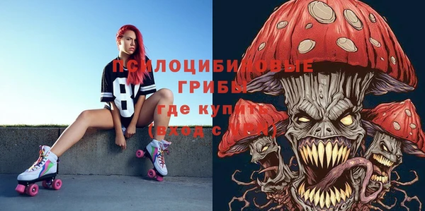 бошки Бронницы