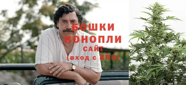 ГАЛЛЮЦИНОГЕННЫЕ ГРИБЫ Верхний Тагил
