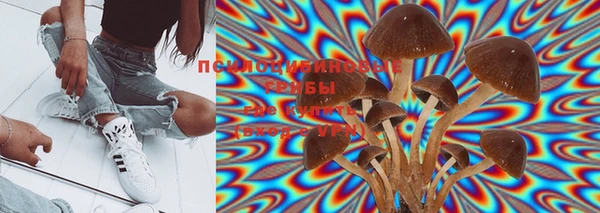 бошки Бронницы