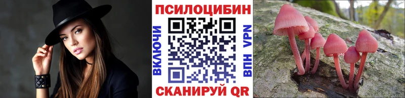 Псилоцибиновые грибы Magic Shrooms  Камбарка 